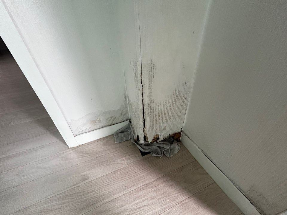 가벽 아래 몰딩이 물을 먹어 썩어 있었습니다